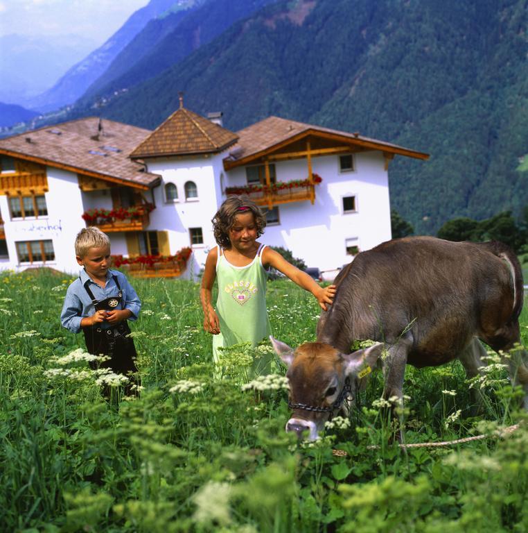 Naturhotel Gruberhof Schenna Dış mekan fotoğraf